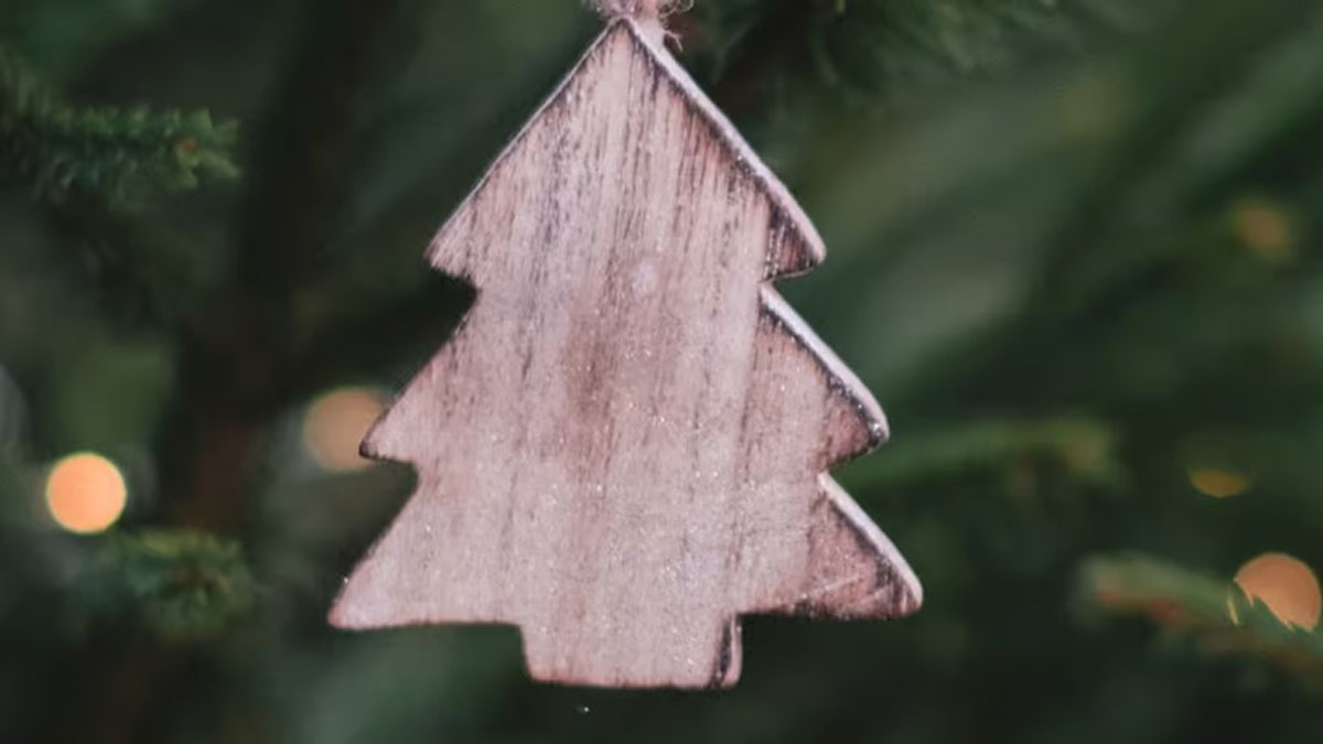 Park District of Highland Park's Great Ornament Hunt